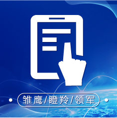 雏鹰/瞪羚/领军(咨询服务)